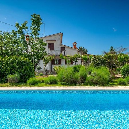 Apartmani Martina Poreč Dış mekan fotoğraf