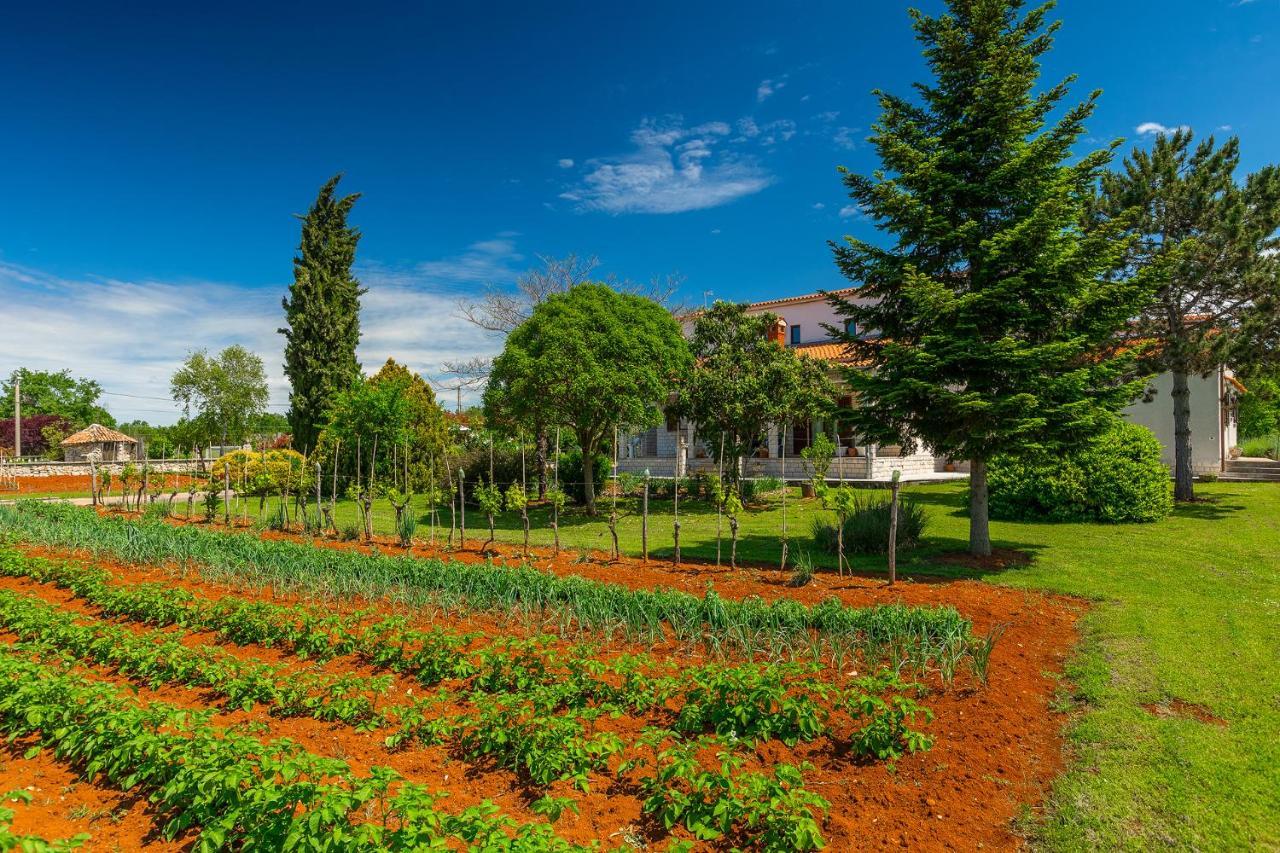 Apartmani Martina Poreč Dış mekan fotoğraf